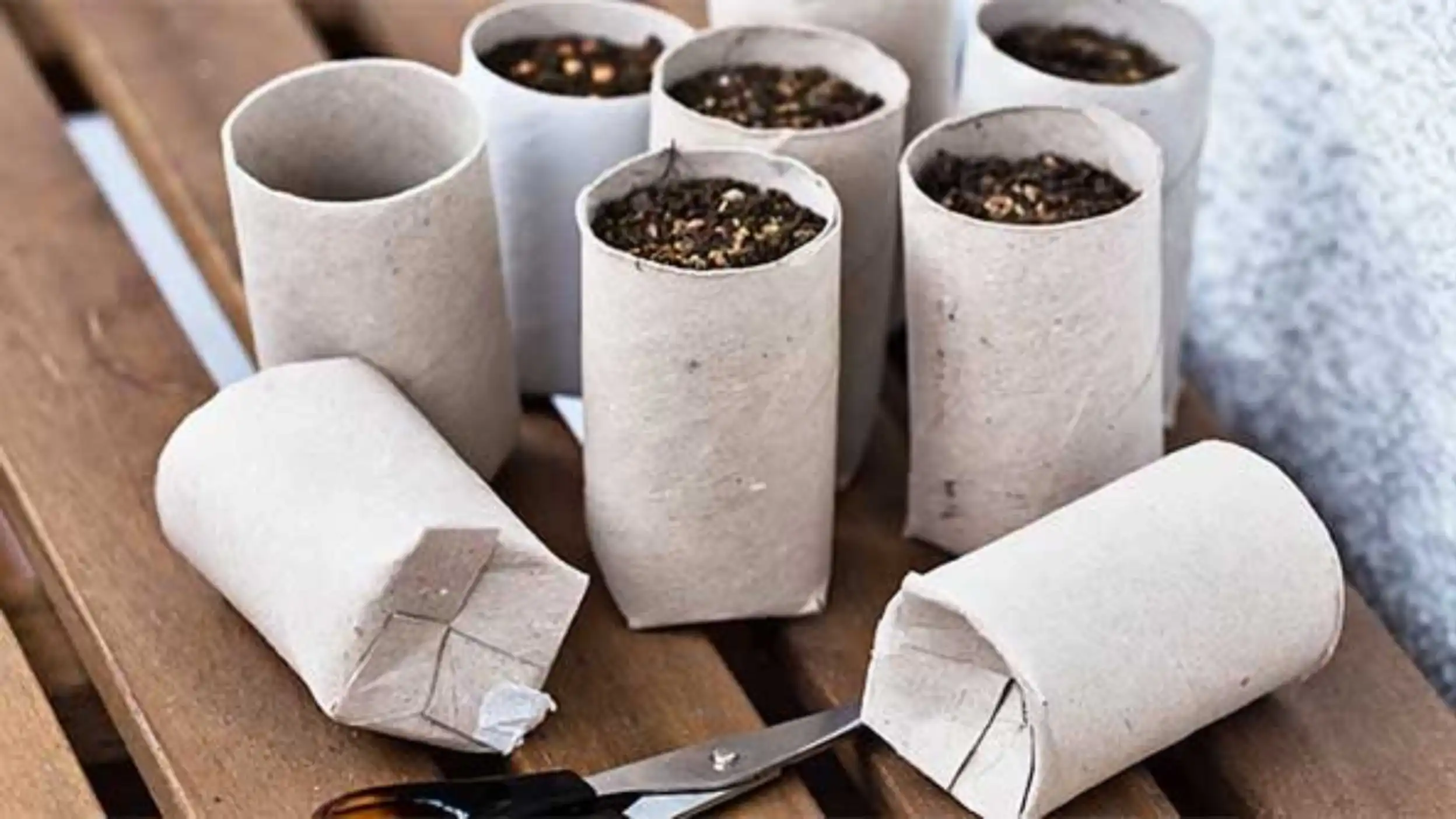 Upcycled ideas for the garden