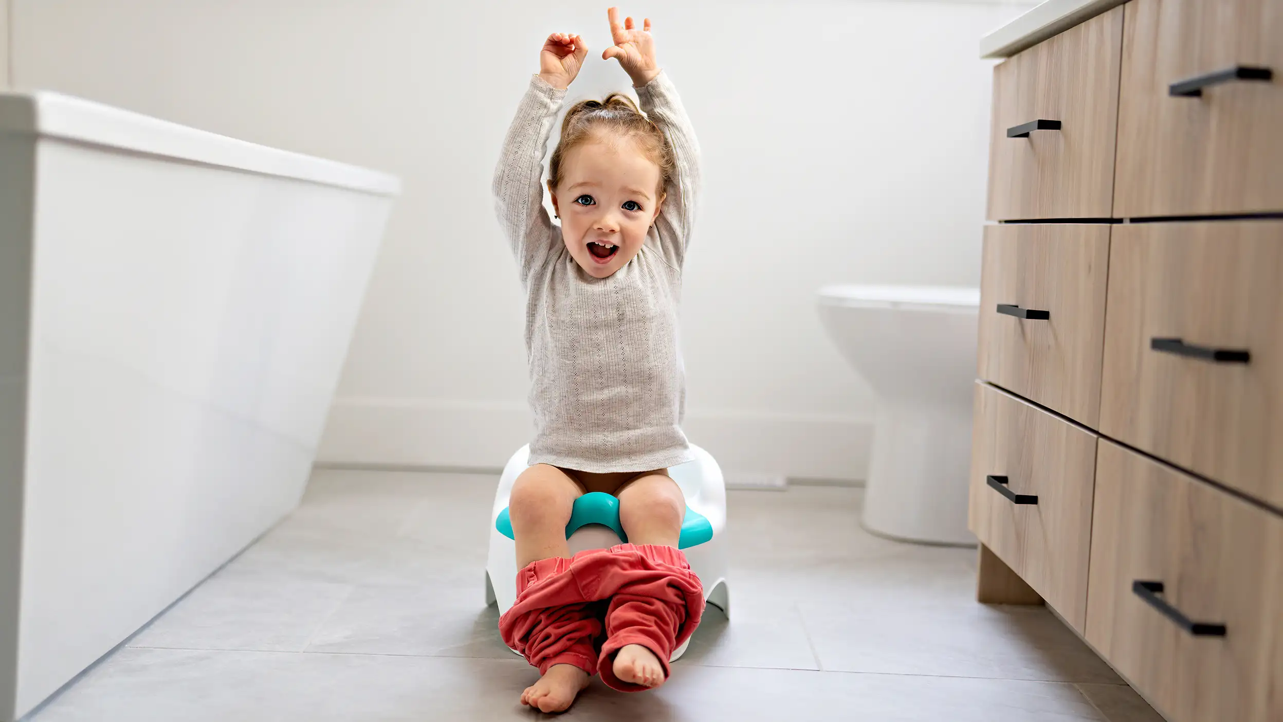Potty Training Tips