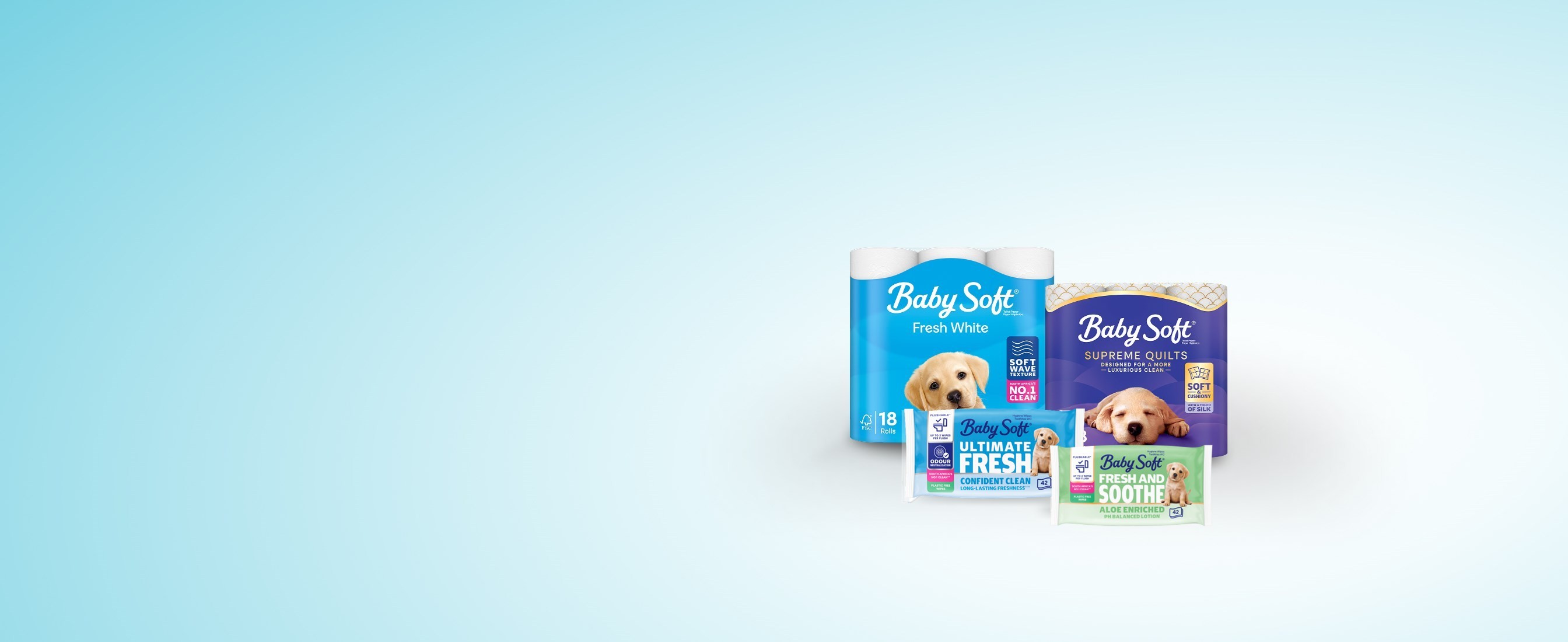 A range of Baby Soft® Toilet Tissue and Moist Toilet Tissue products